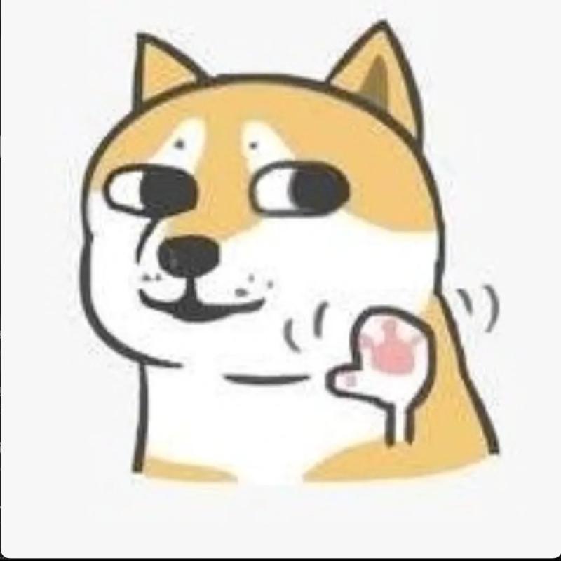 DogeLover